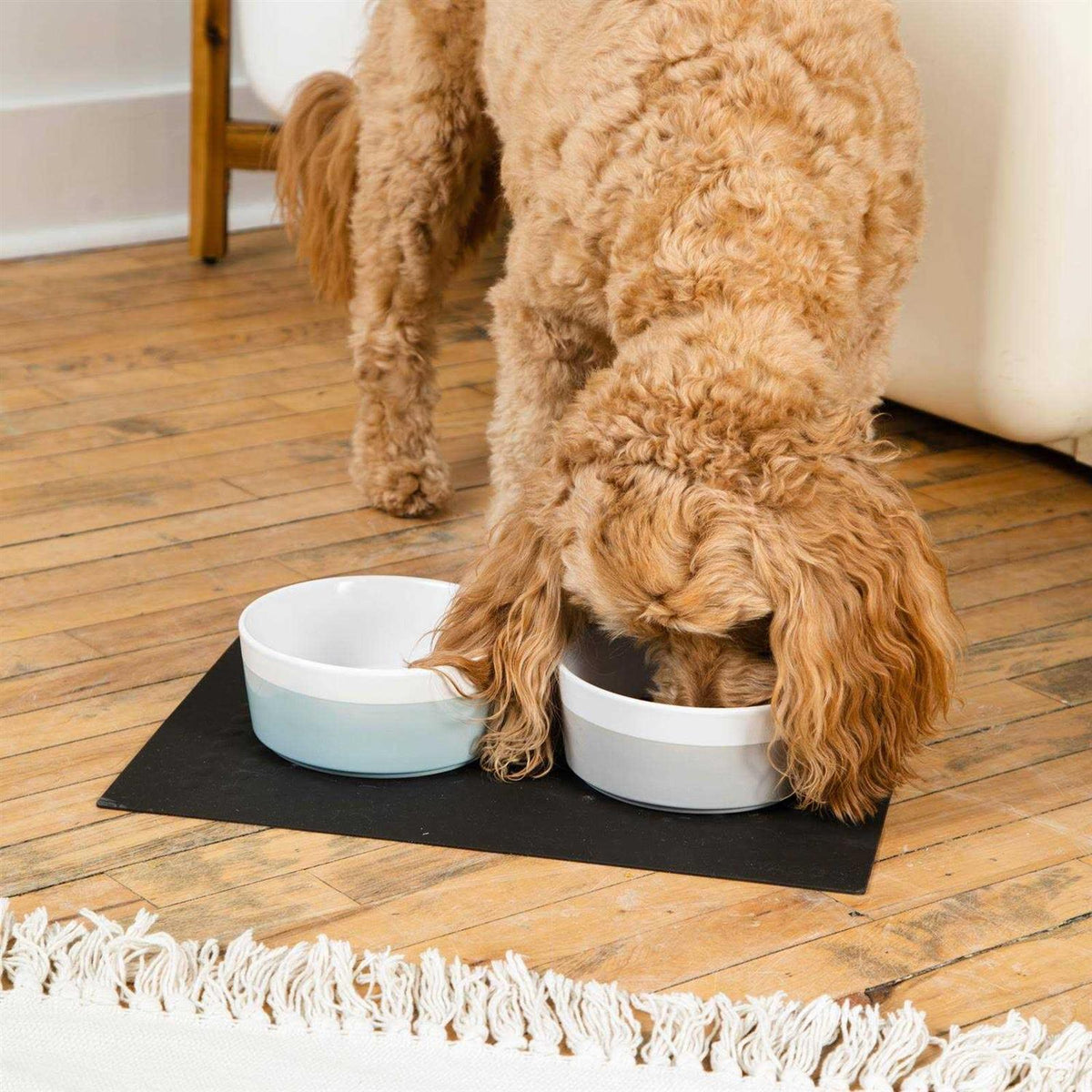 Dog Placemat A6092