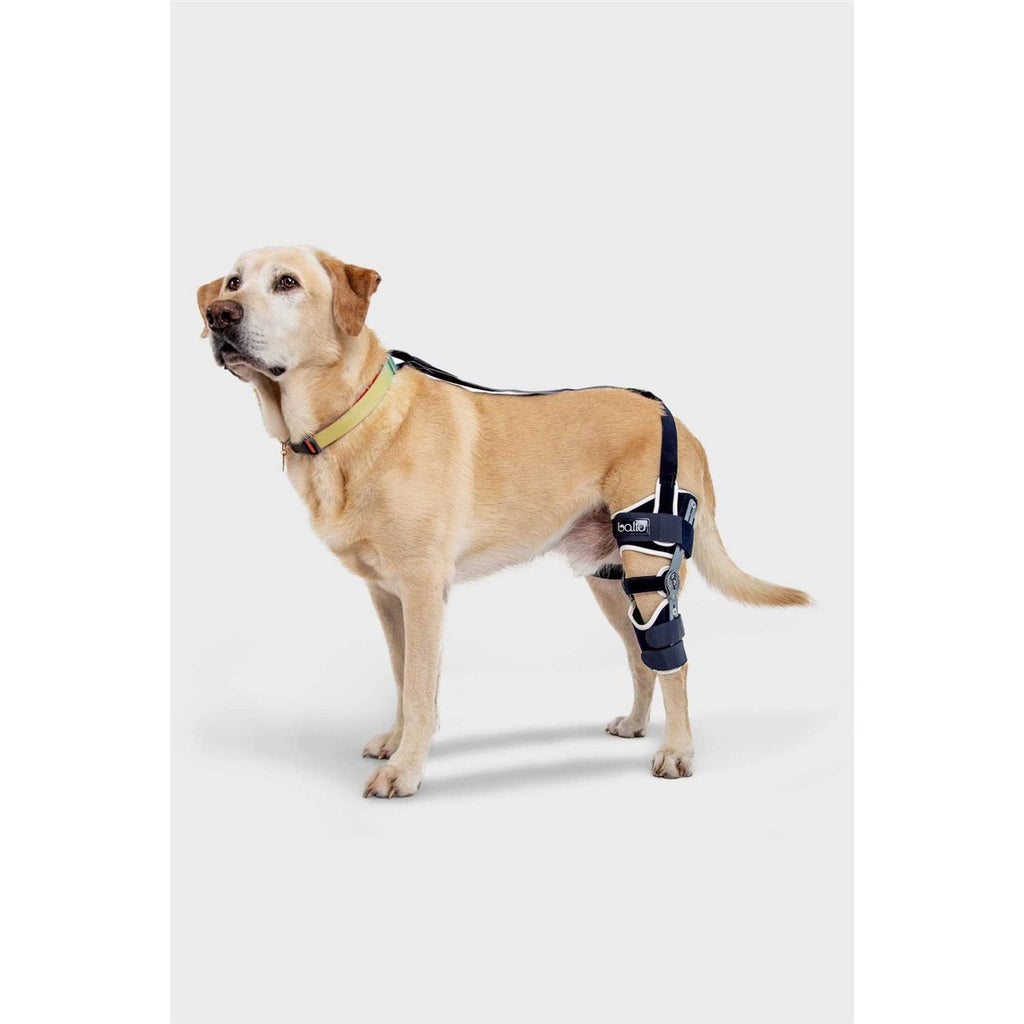 Adjustable Hinged Dog Knee Brace H85165