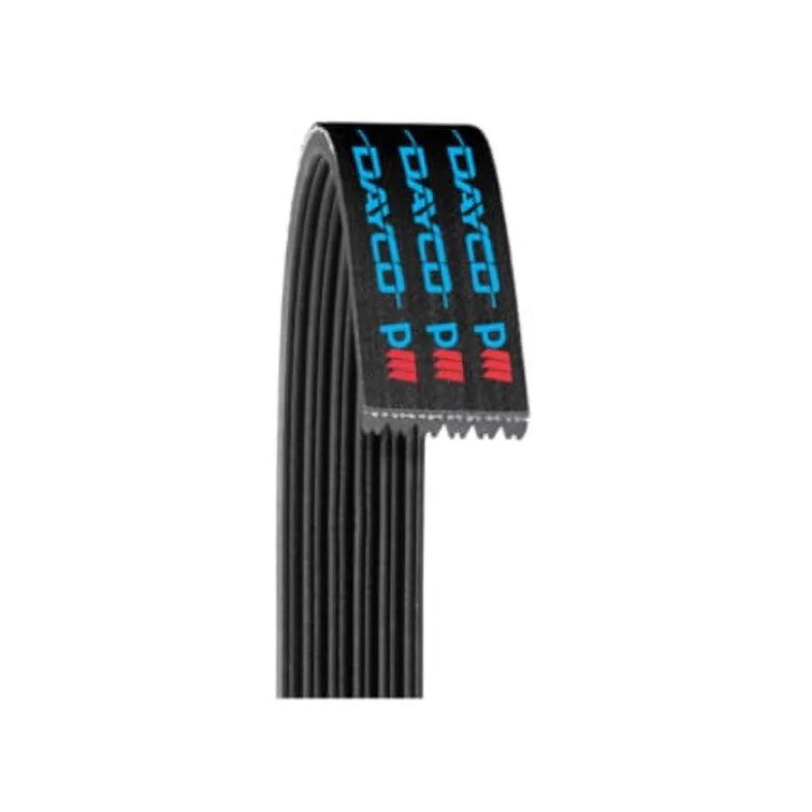 Poly Rib Belt Q289