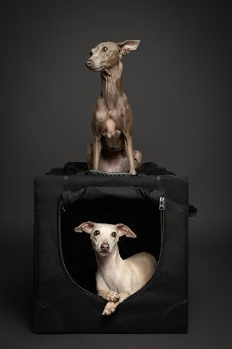 Collapsible Dog Crate 42 Inch B122