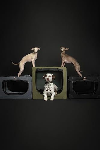 Collapsible Dog Crate 42 Inch B122