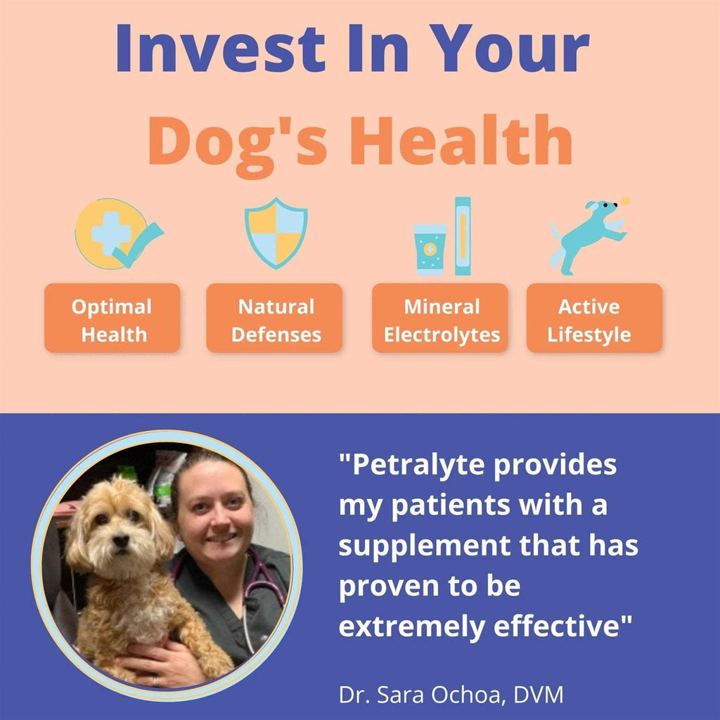 Dog Electrolyte Formula B803098