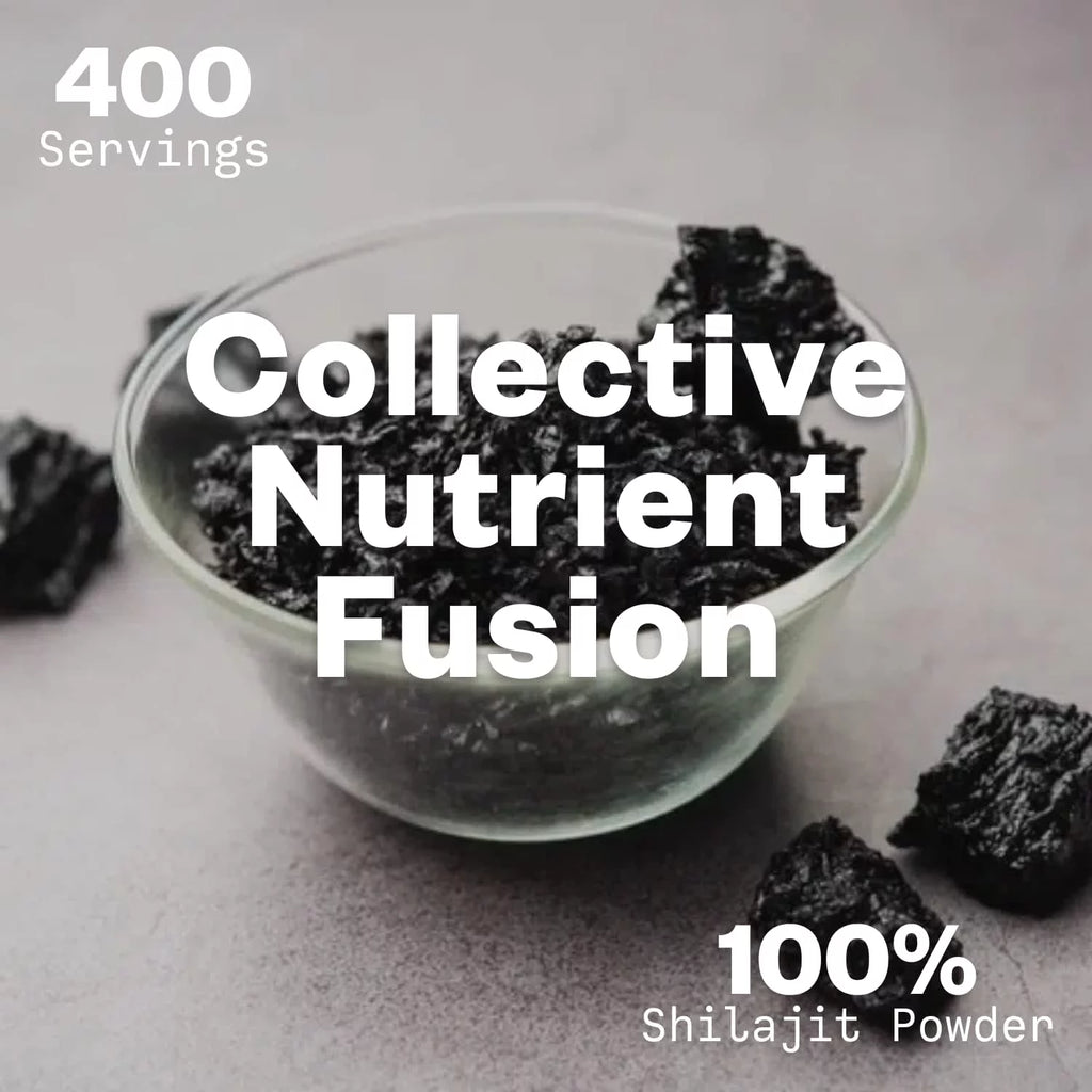 Shilajit Powder 12:1 Extract 100g Z201674