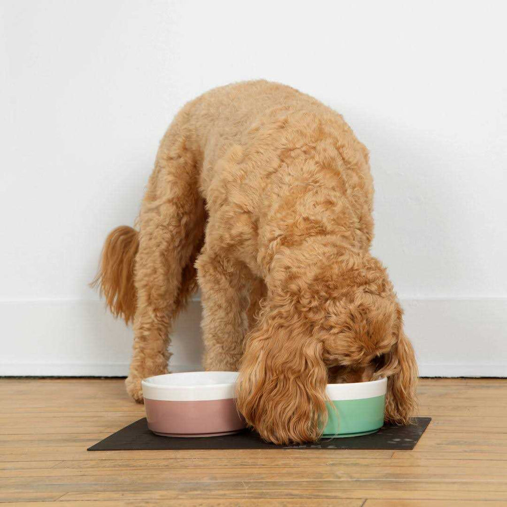 Dog Placemat A6092