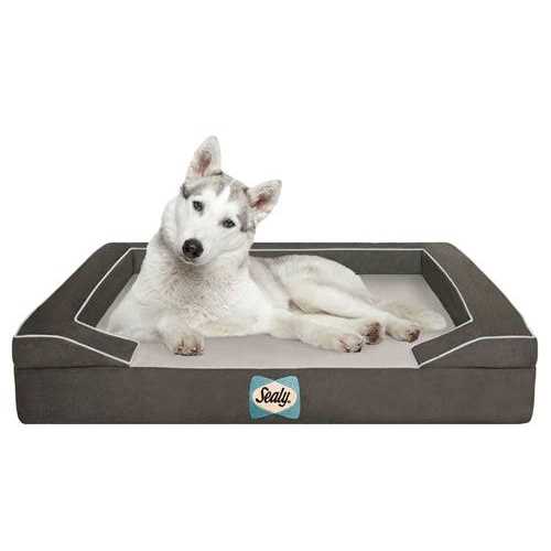 Memory Foam Dog Bed D736987