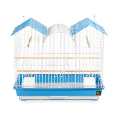 Blue and White Plastic Pointed Table Top Bird Cage with Perch D985
