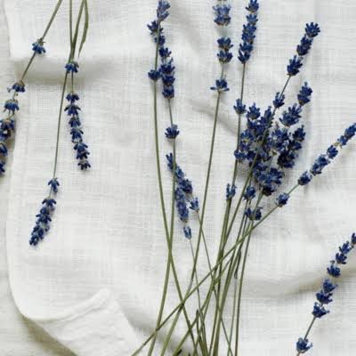 White Lavender Large Candle H382959