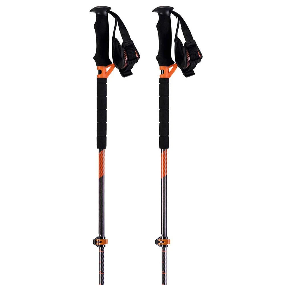 Ski Poles H227