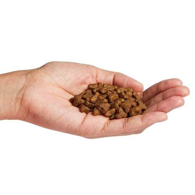 Natural Holistic Cat Food F2920