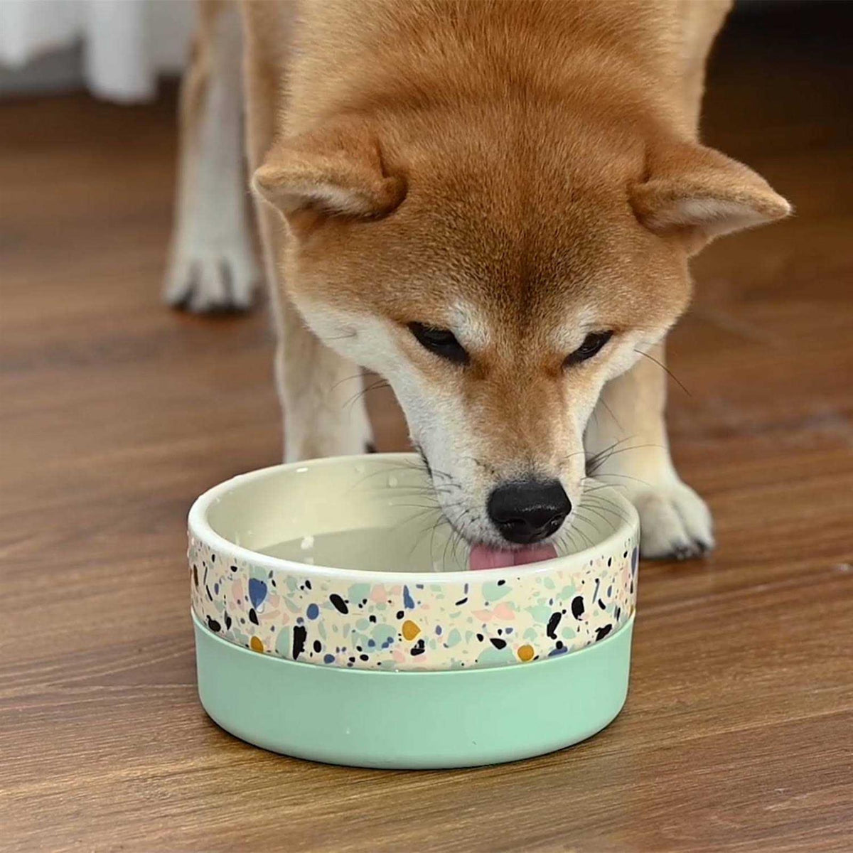 Flavorless Dental Rinse for Dogs F6718