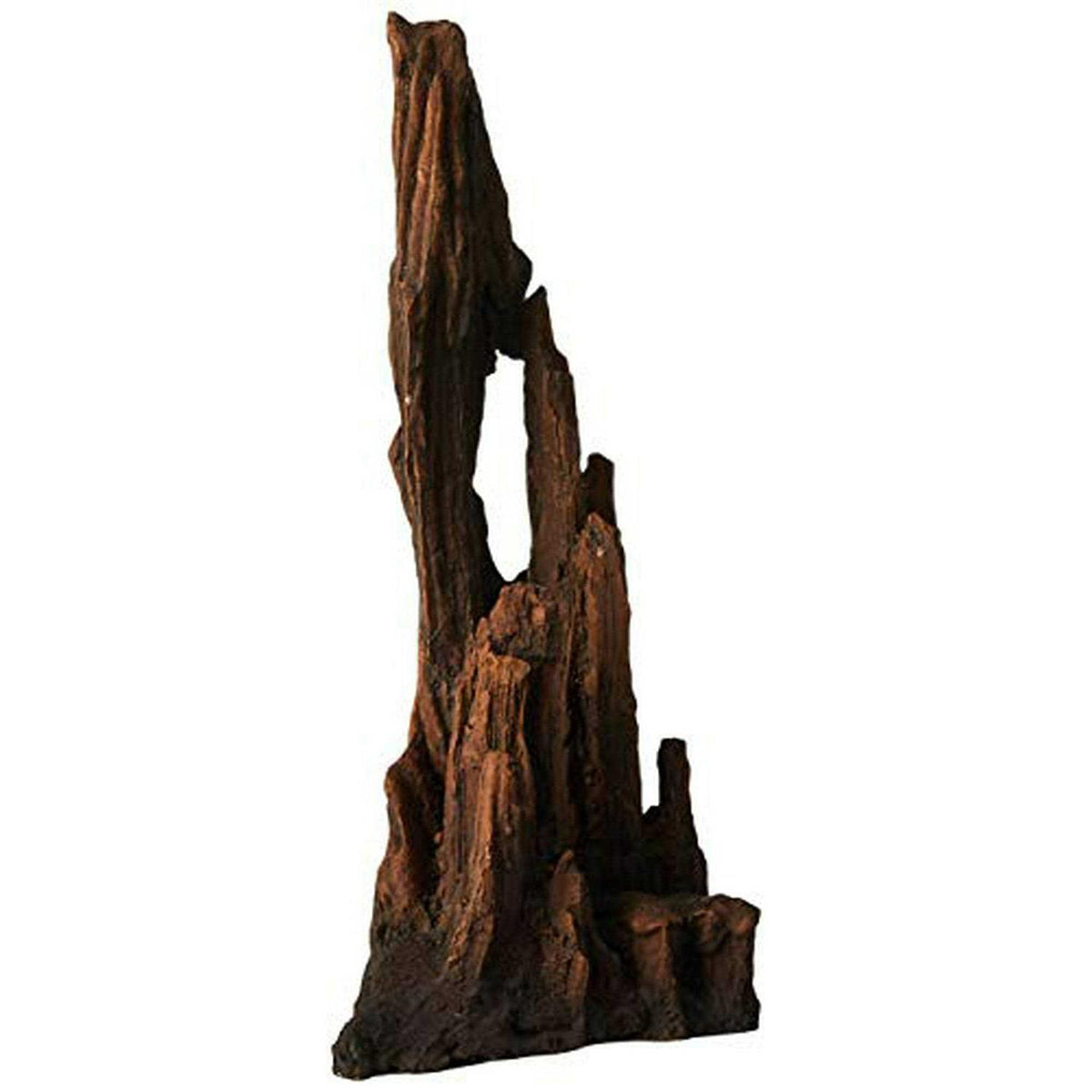 Petrified Wood D4143