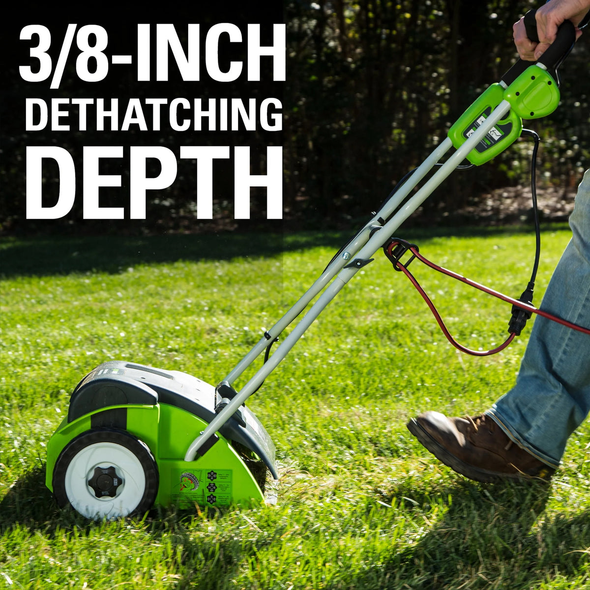 14 Amp Corded Electric Dethatcher P435256