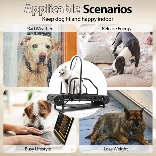 Non-Electric Dog Treadmill with Step Counter, Adjustable Incline & Brake C39096