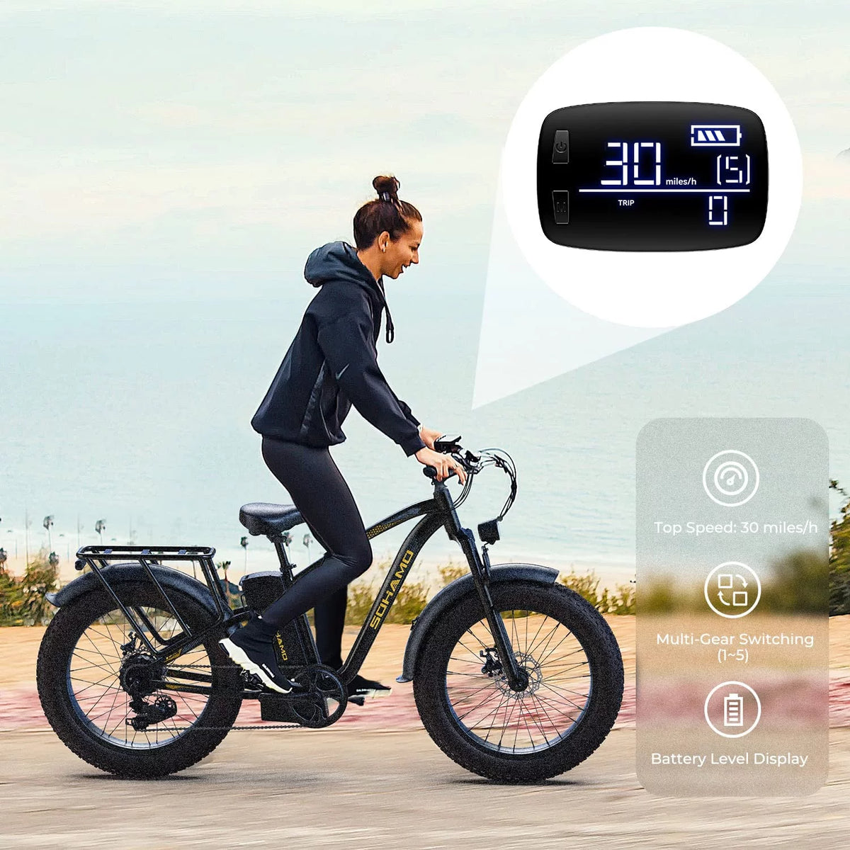 Foldable 20 Fat Tire Electric Bike with 750W Motor V16247