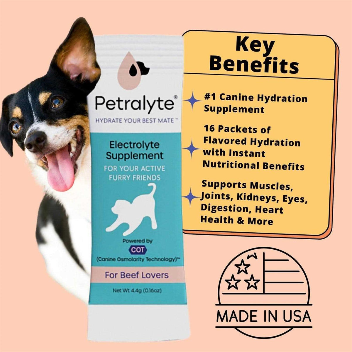Dog Electrolyte Formula B803098