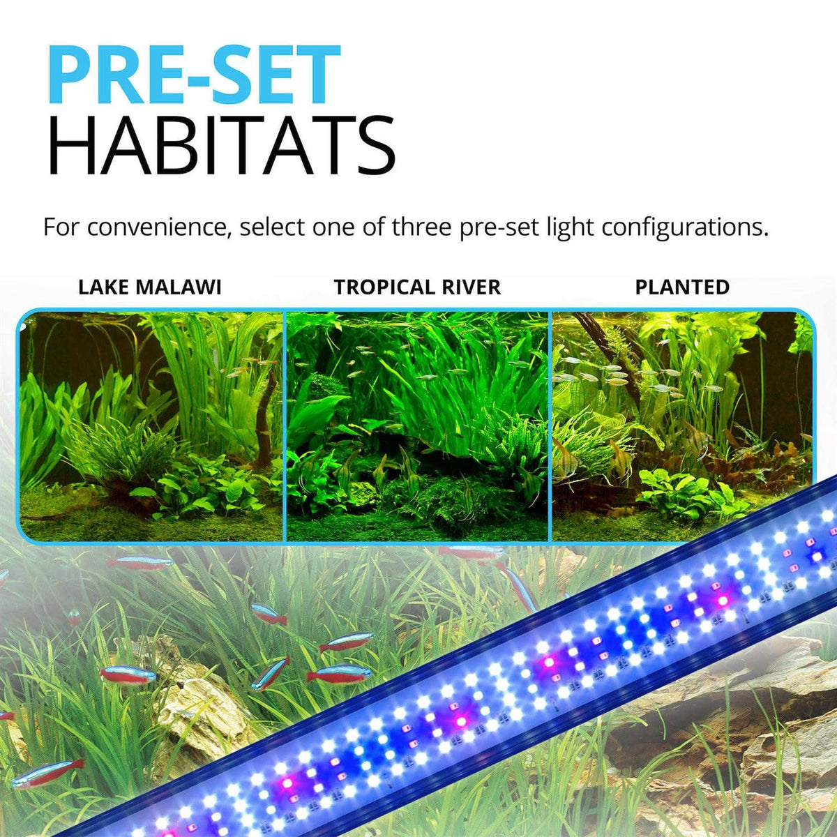 Plant 3.0 LED N320