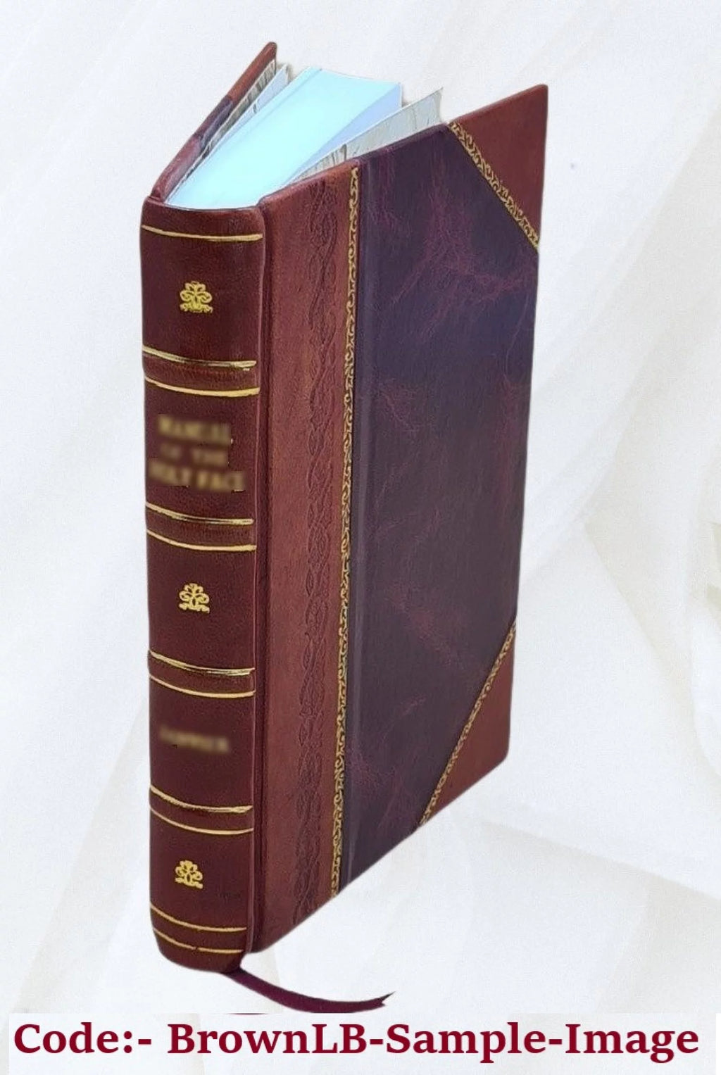 Leather Bound Book A668920
