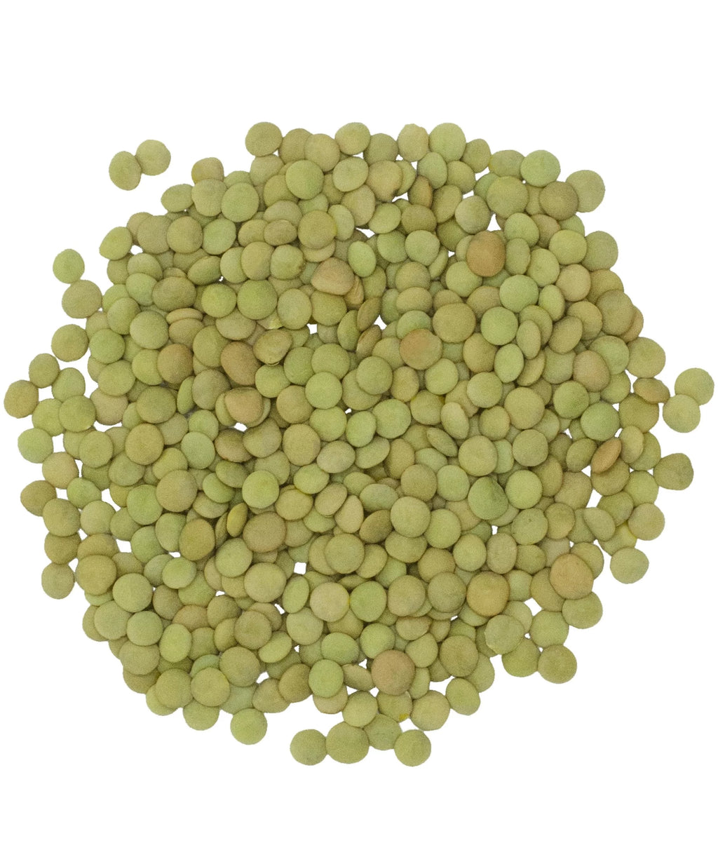 Green Lentils 25 lbs Non-GMO Dried E66697