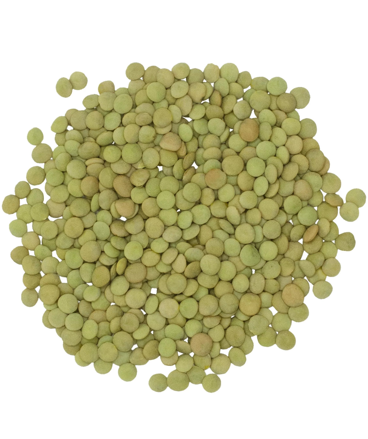 Green Lentils 25 lbs Non-GMO Dried E66697