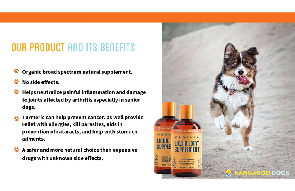 Organic Turmeric Curcumin Dog Joint Supplement Liquid 8 oz Q520