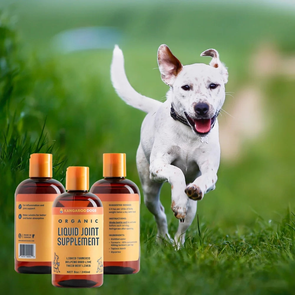 Organic Turmeric Curcumin Dog Joint Supplement Liquid 8 oz Q520
