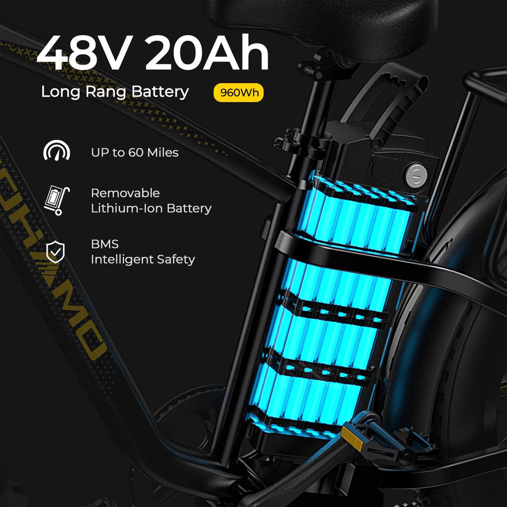Foldable 20 Fat Tire Electric Bike with 750W Motor V16247