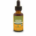 Ginger T787046
