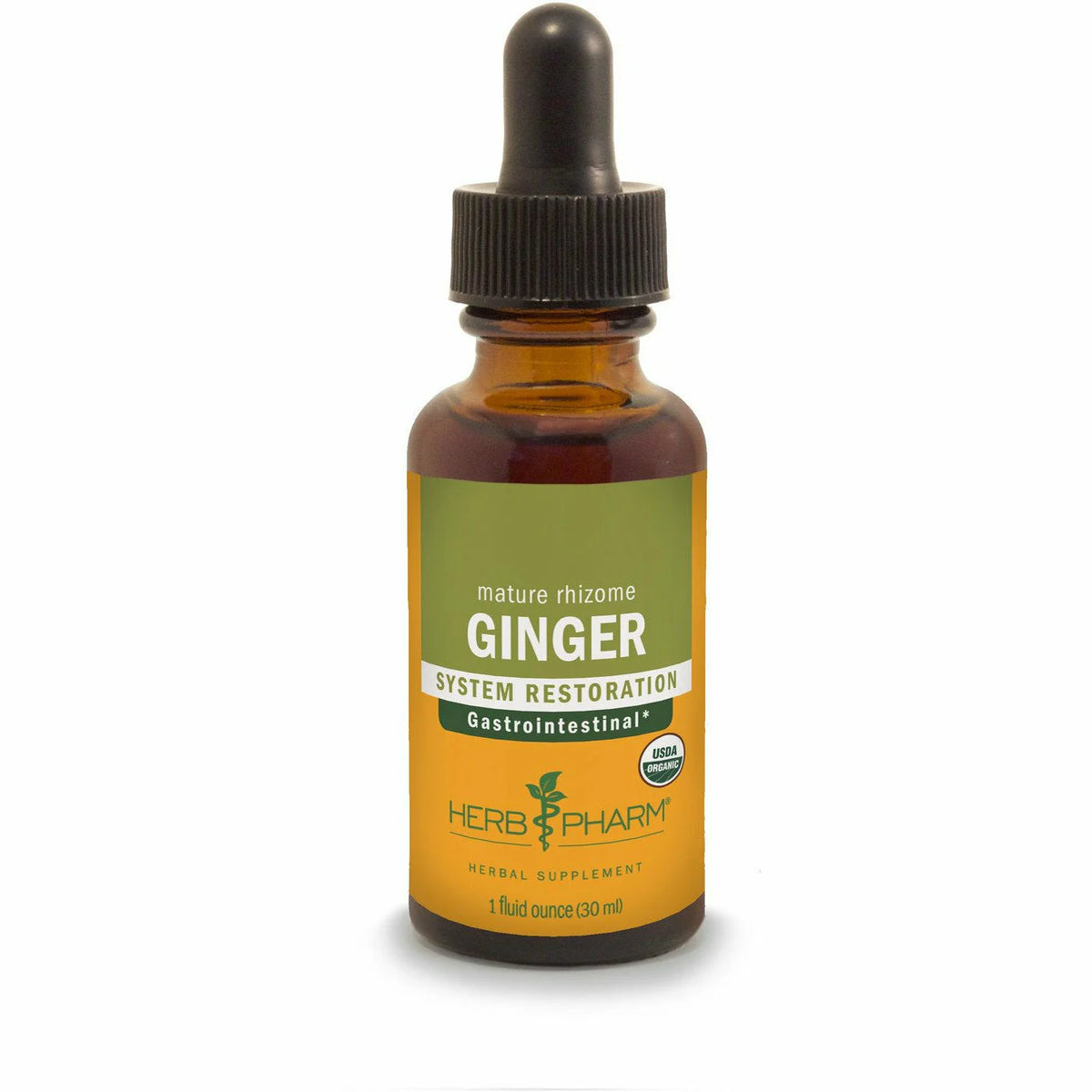 Ginger T787046