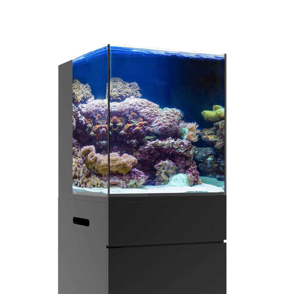 Nano Rimless Aquarium P59604