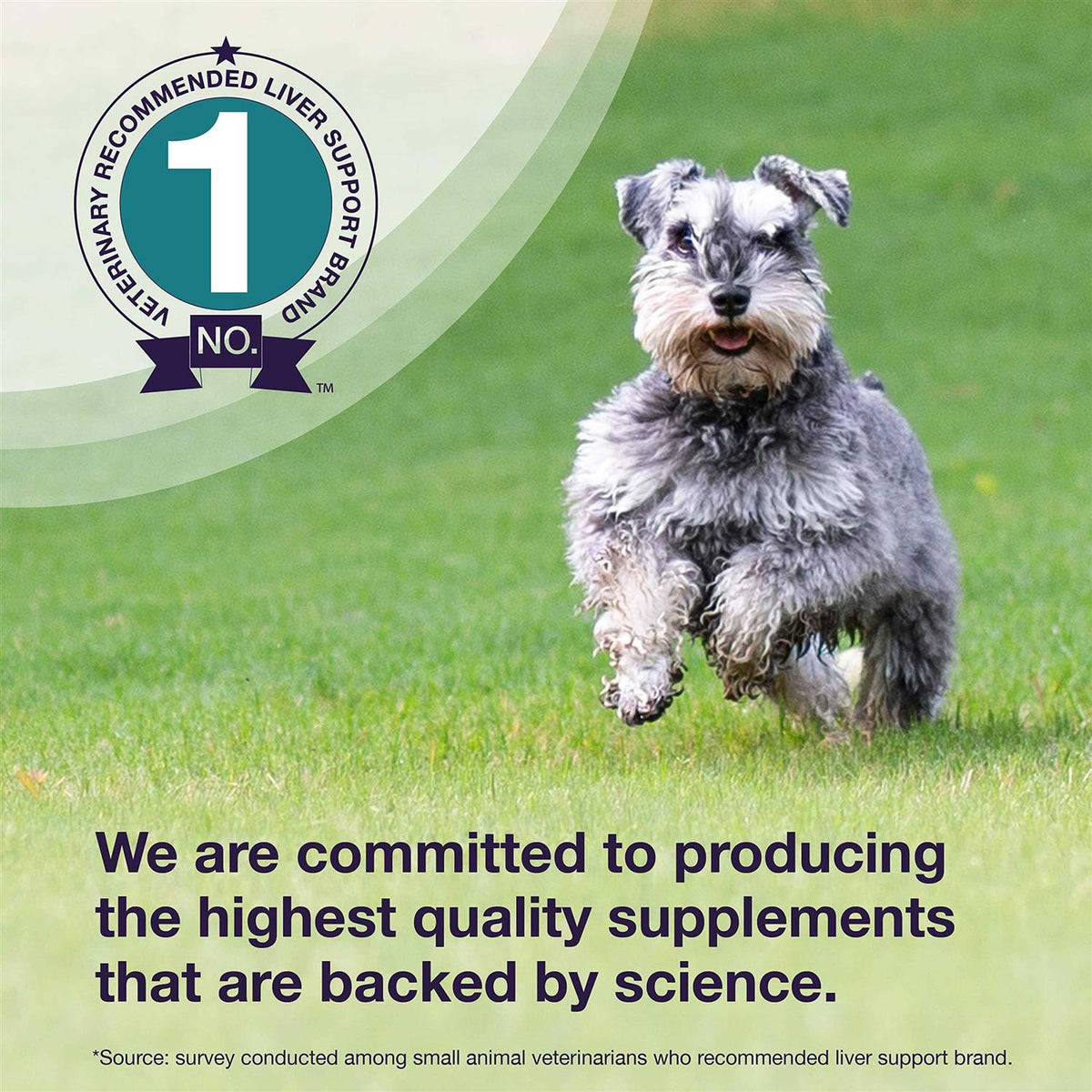 Liver Health Supplement Dogs N243437