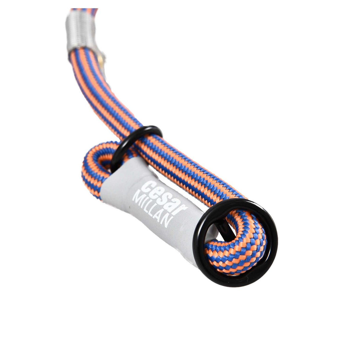 2-in-1 Slip Collar Dog Training Lead & Collar B196914