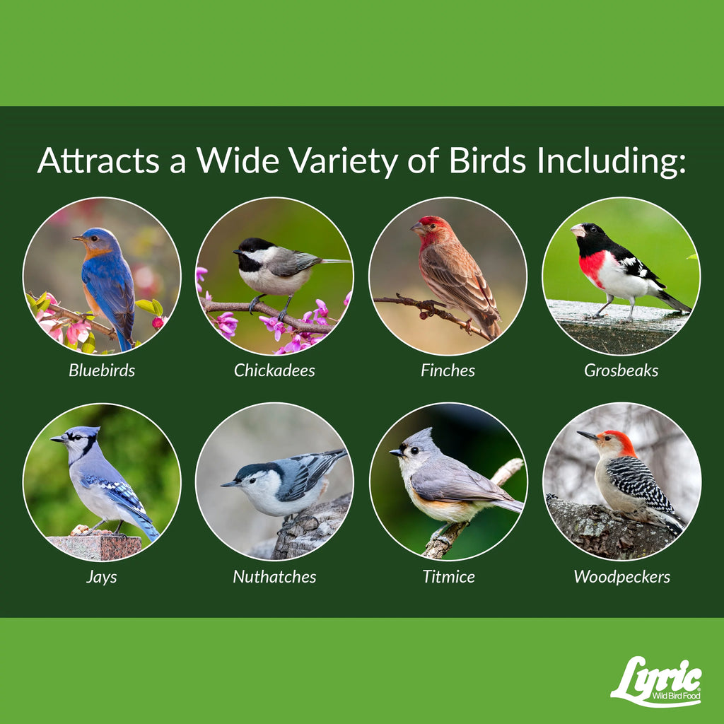 15 lb. No Waste Wild Bird Seed T564519