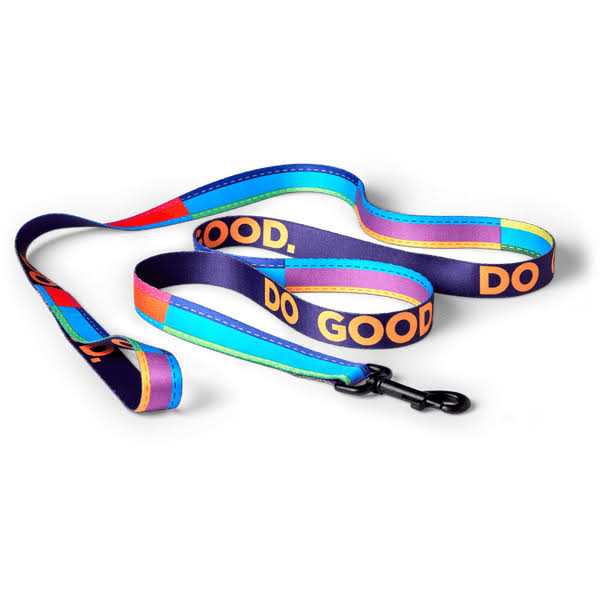 Dog Leash O24761