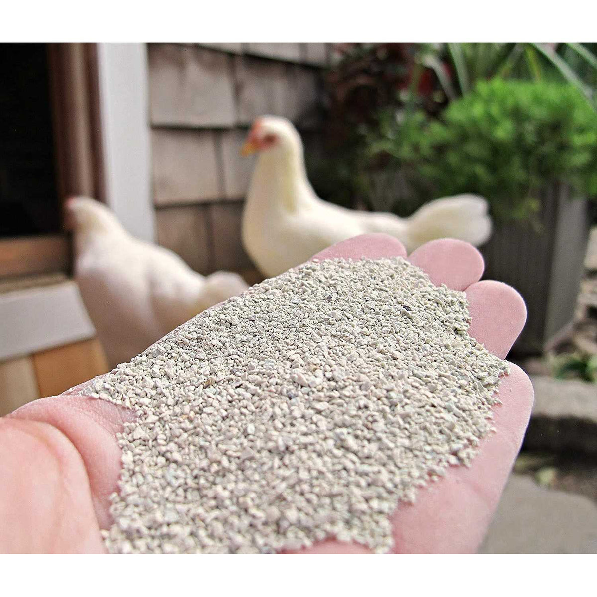 Pet Supplies G83992