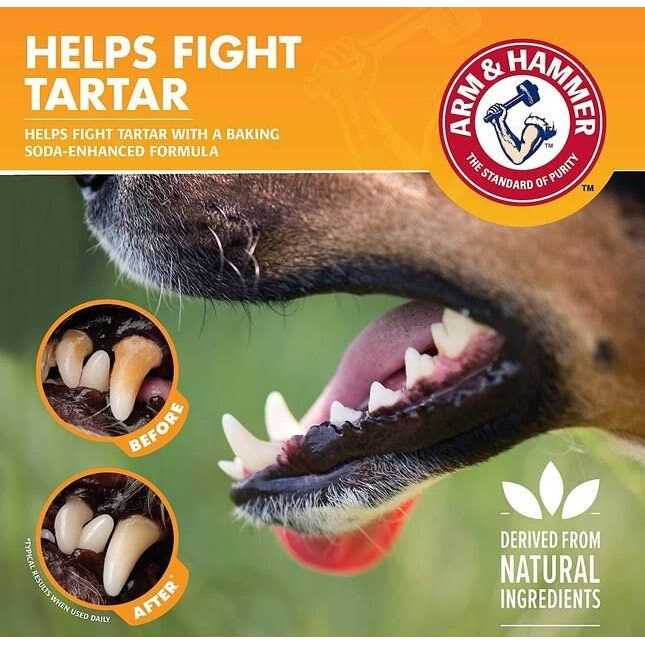 Flavorless Dental Rinse for Dogs F6718
