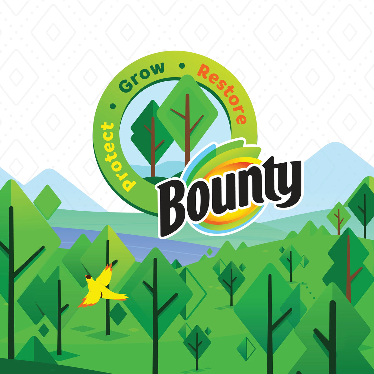White 2-Ply Paper Towel 4 Double Rolls S602