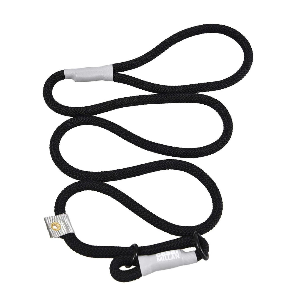 2-in-1 Slip Collar Dog Training Lead & Collar B196914