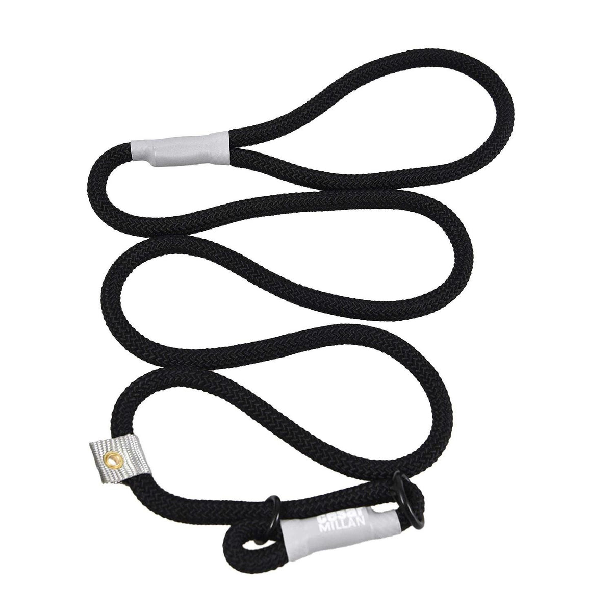 2-in-1 Slip Collar Dog Training Lead & Collar B196914