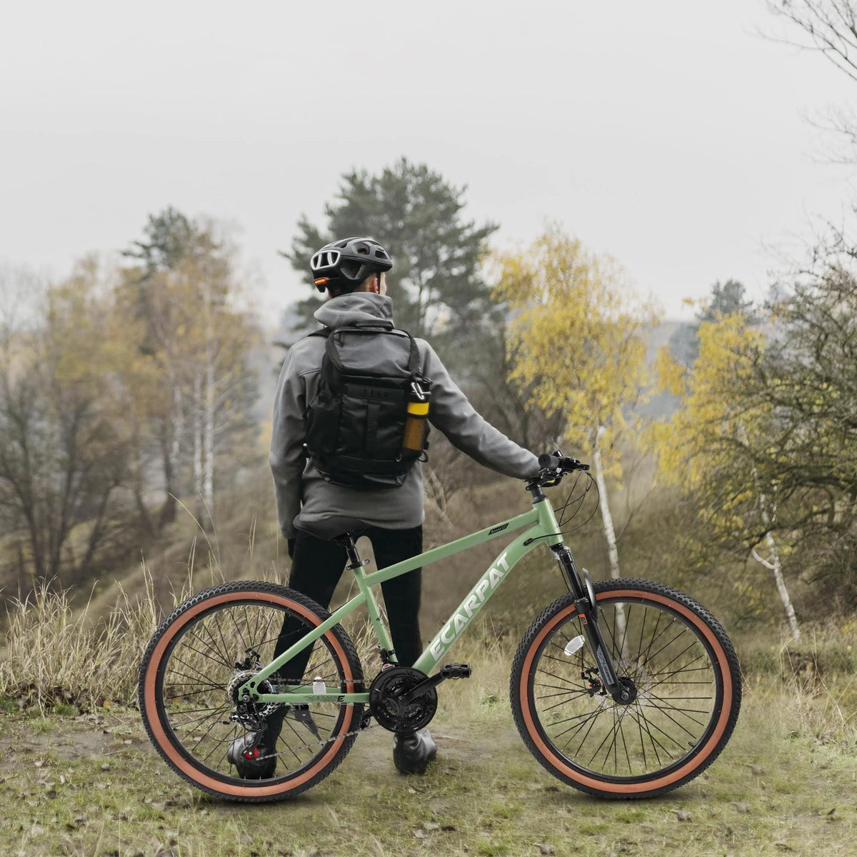 27.5 Inch 21 Speed Carbon Steel Mountain Bike P4202