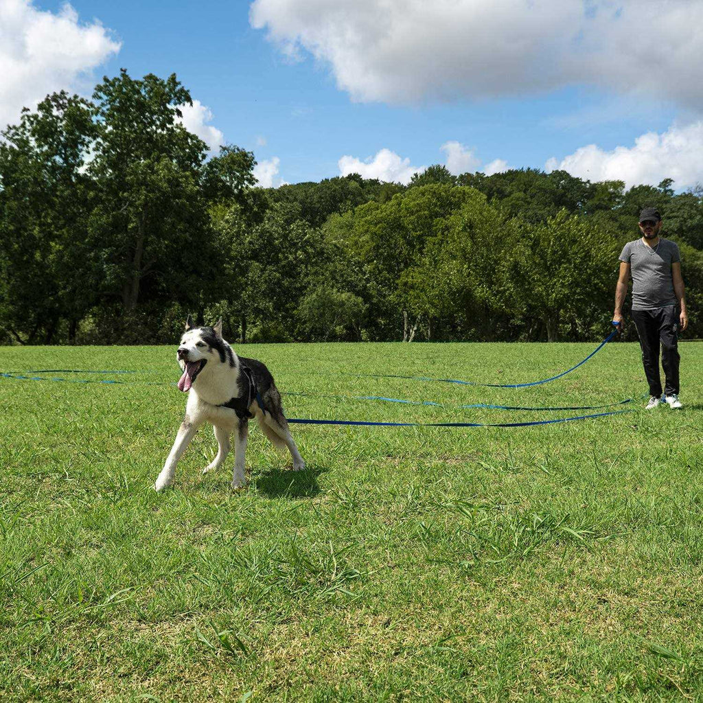 Dog Puppy Training Leash 15ft 20ft 30ft 50ft 100ft C65019
