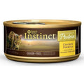 Grain Free Real Chicken Recipe Wet Canned Cat Food G719