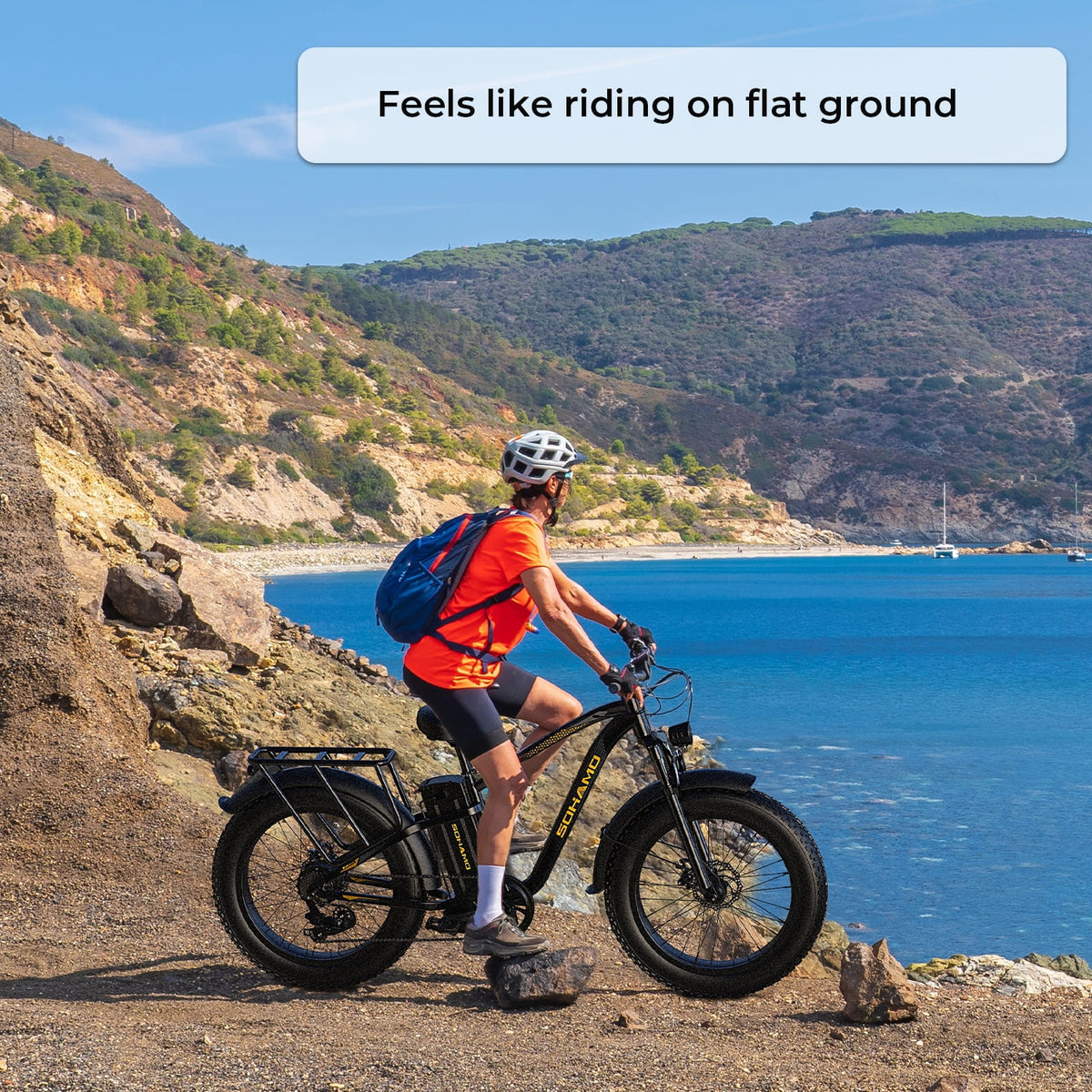 Foldable 20 Fat Tire Electric Bike with 750W Motor V16247