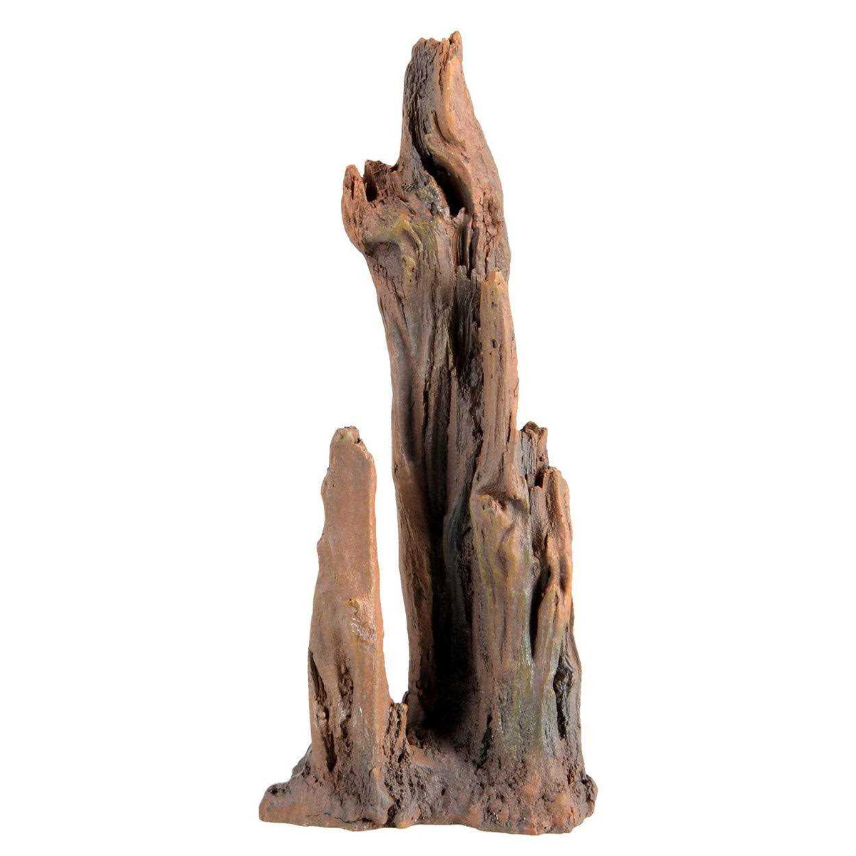 Petrified Wood D4143