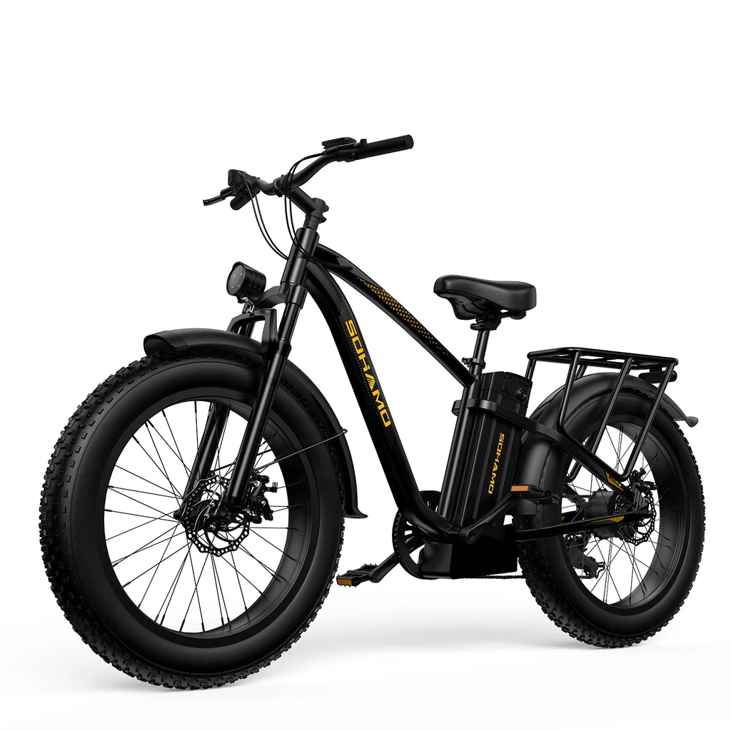 Foldable 20 Fat Tire Electric Bike with 750W Motor V16247