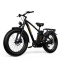 Foldable 20 Fat Tire Electric Bike with 750W Motor V16247