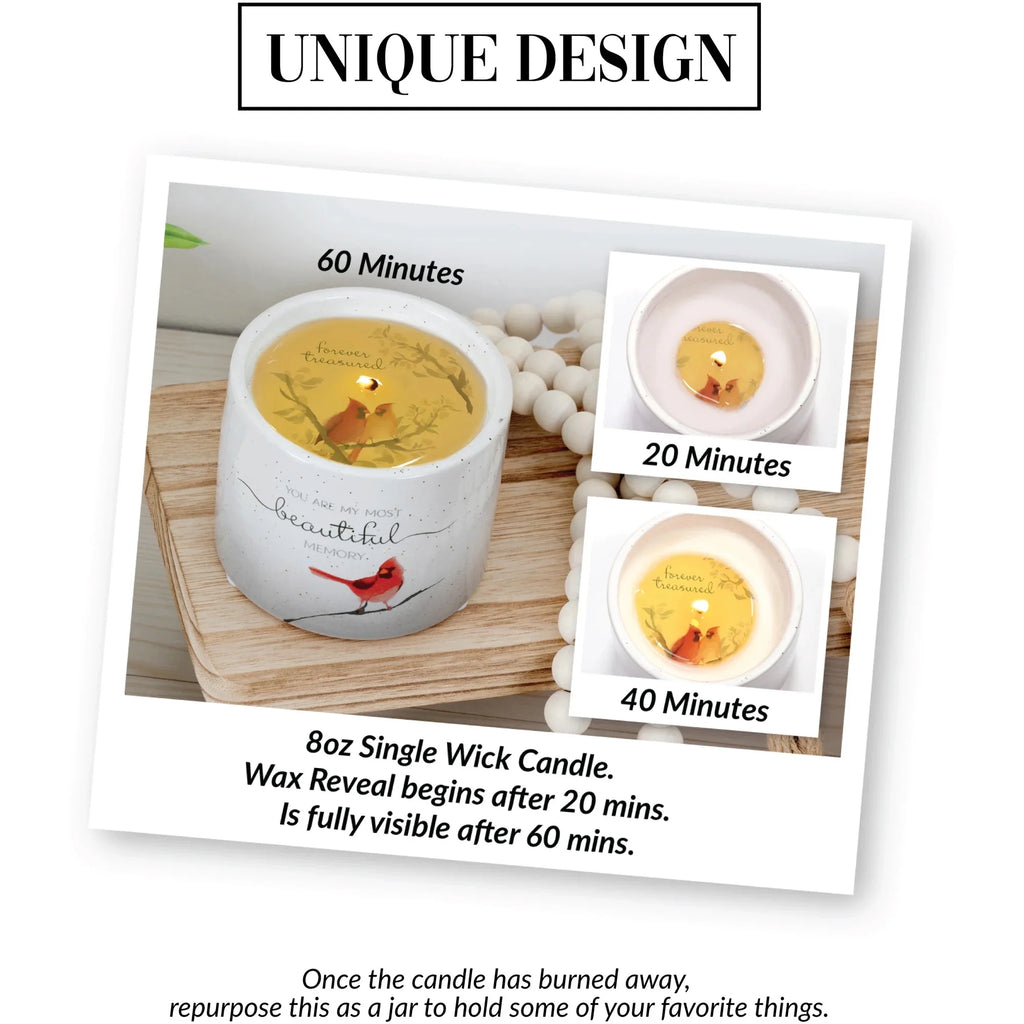 8 oz Soy Wax Single Wick Scented Candle C96027