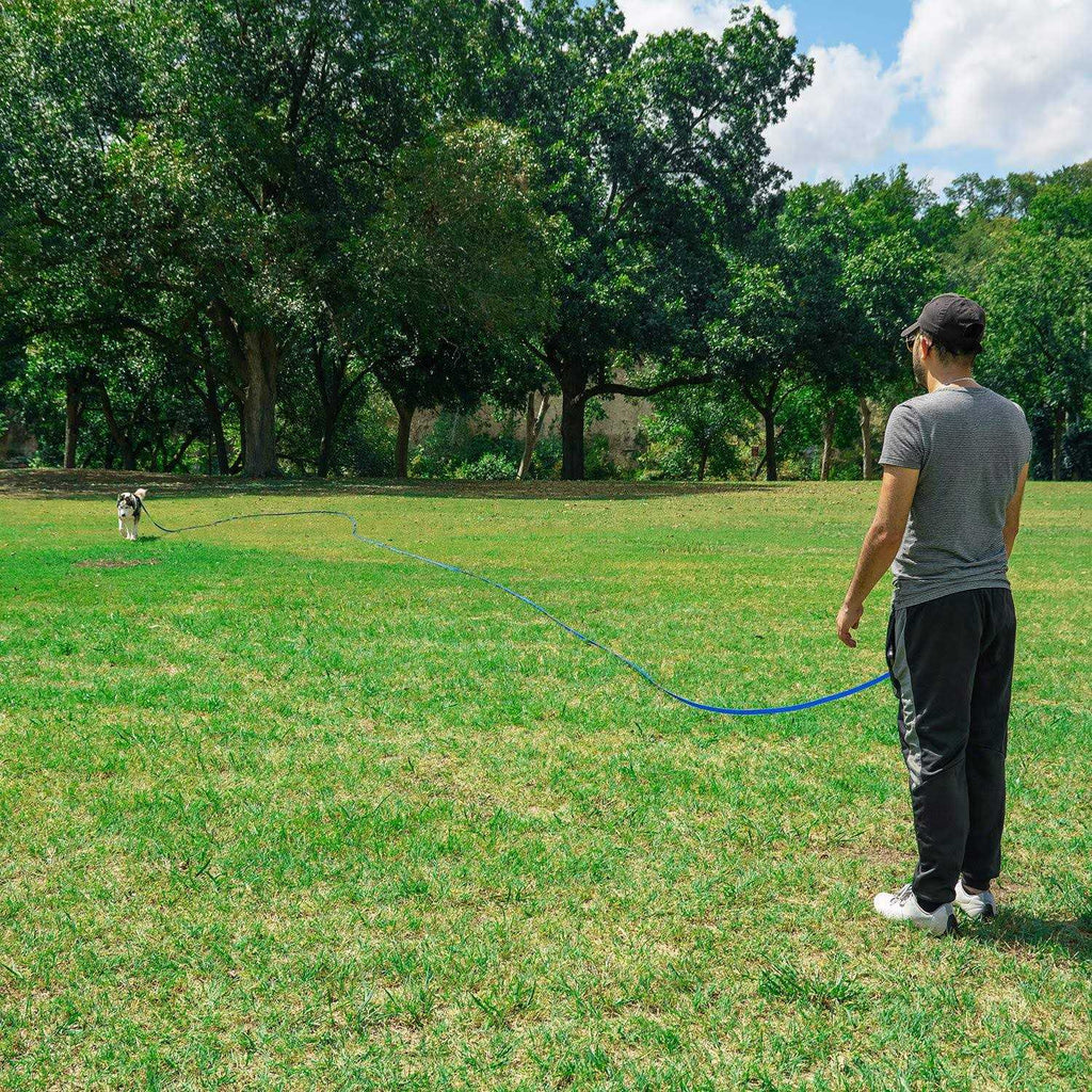 Dog Puppy Training Leash 15ft 20ft 30ft 50ft 100ft C65019
