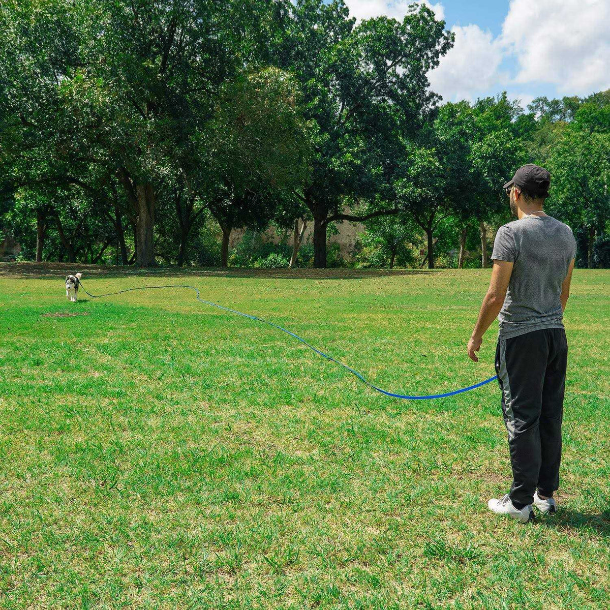 Dog Puppy Training Leash 15ft 20ft 30ft 50ft 100ft C65019