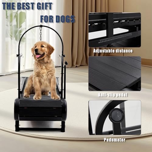 Non-Electric Dog Treadmill with Step Counter, Adjustable Incline & Brake C39096