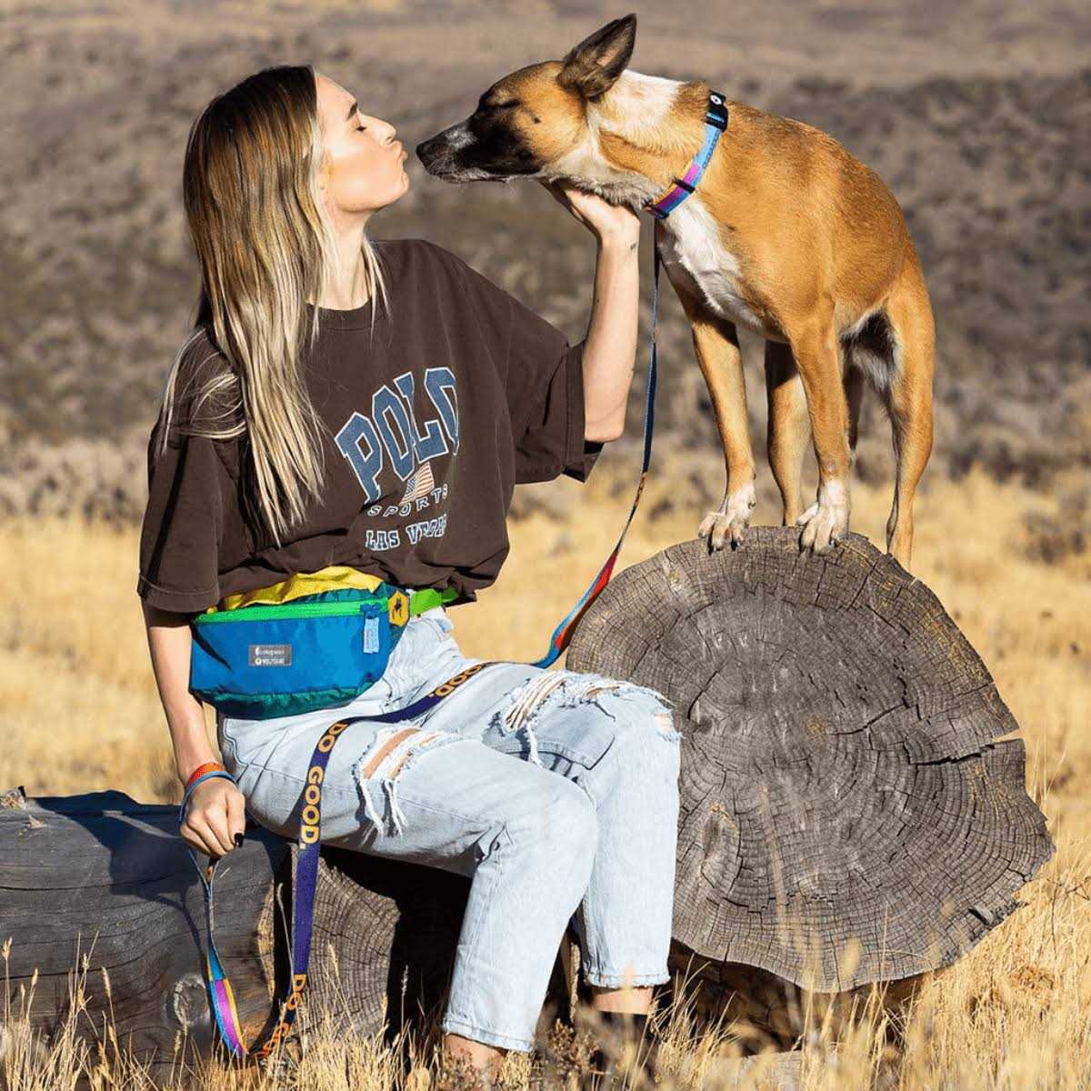 Dog Leash O24761